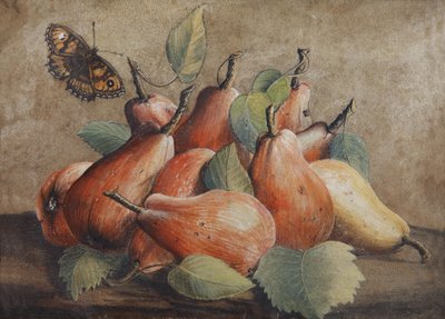Still Life with Pears and a Butterfly by Giovanna Garzoni